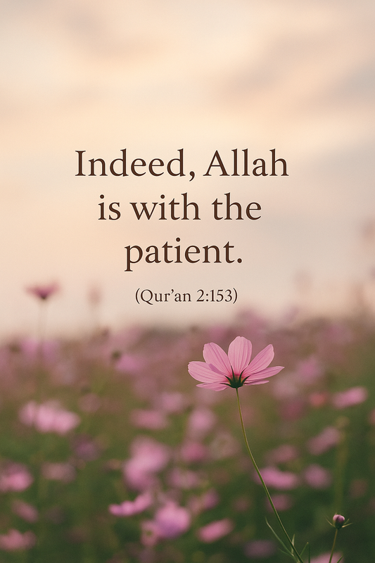 Free TDJ Phone Wallpaper